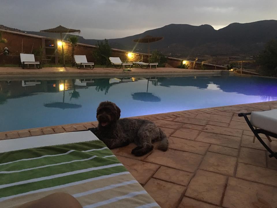 Palais D'Ouzoud Hotel อาซิลาล ภายนอก รูปภาพ